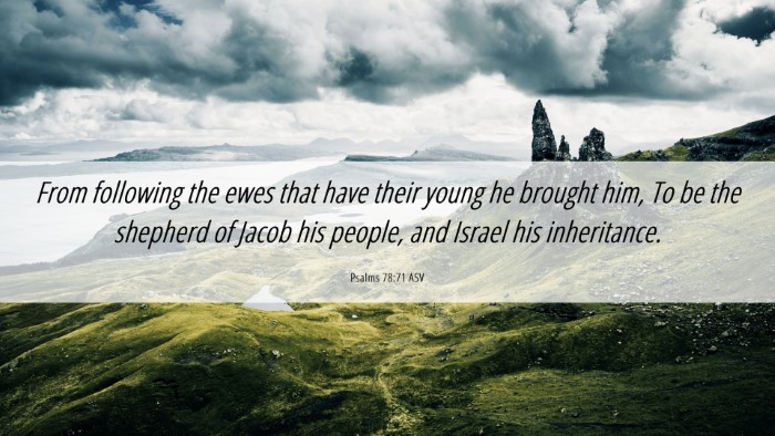 Picture 06 - Psalms 78:71 ASV Desktop Wallpaper - From following the ewes that have their young he - Desktop Bible Verse Wallpaper
