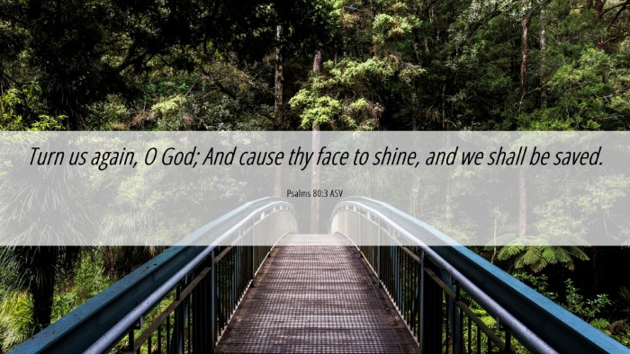Picture 06 - Psalms 80:3 ASV Desktop Wallpaper - Turn us again, O God; And cause thy face to - Desktop Bible Verse Wallpaper