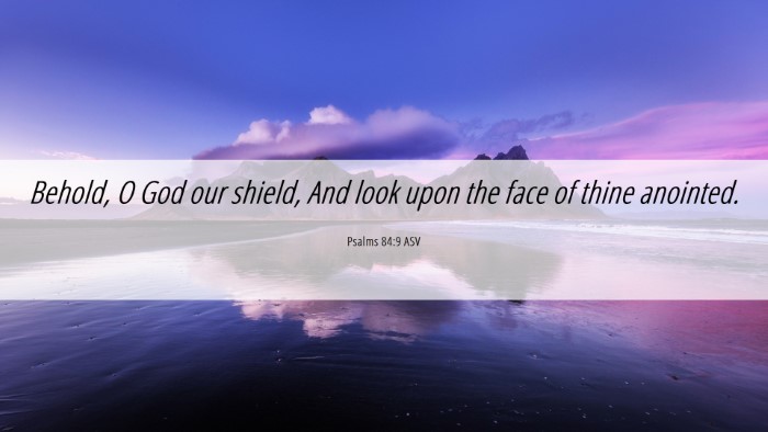 Picture 06 - Psalms 84:9 ASV Desktop Wallpaper - Behold, O God our shield, And look upon the face - Desktop Bible Verse Wallpaper