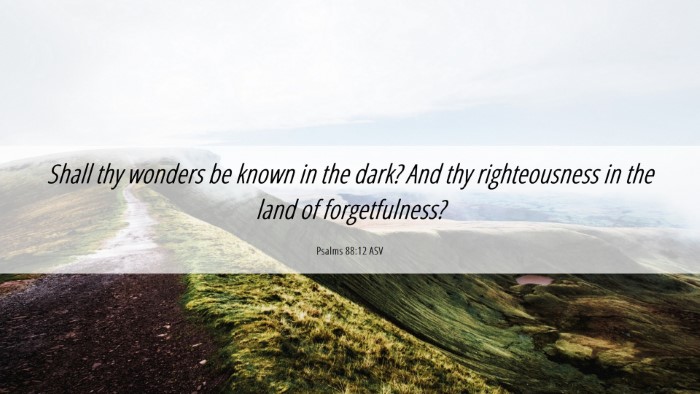 Picture 06 - Psalms 88:12 ASV Desktop Wallpaper - Shall thy wonders be known in the dark? And thy - Desktop Bible Verse Wallpaper