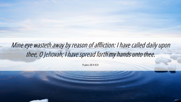 Picture 06 - Psalms 88:9 ASV Desktop Wallpaper - Mine eye wasteth away by reason of affliction: I - Desktop Bible Verse Wallpaper