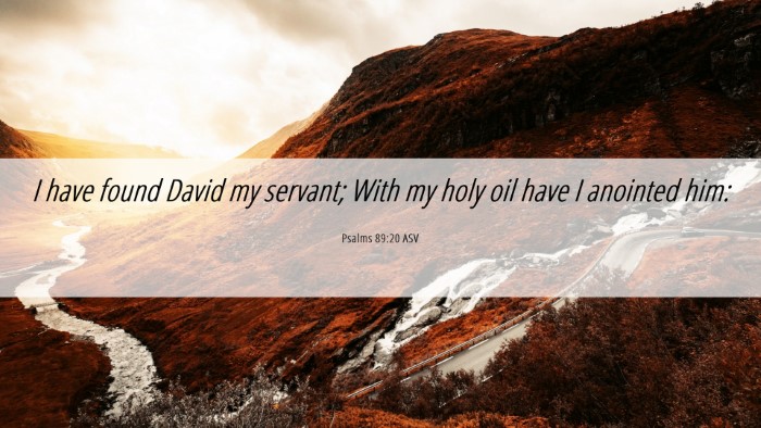 Picture 06 - Psalms 89:20 ASV Desktop Wallpaper - I have found David my servant; With my holy oil - Desktop Bible Verse Wallpaper