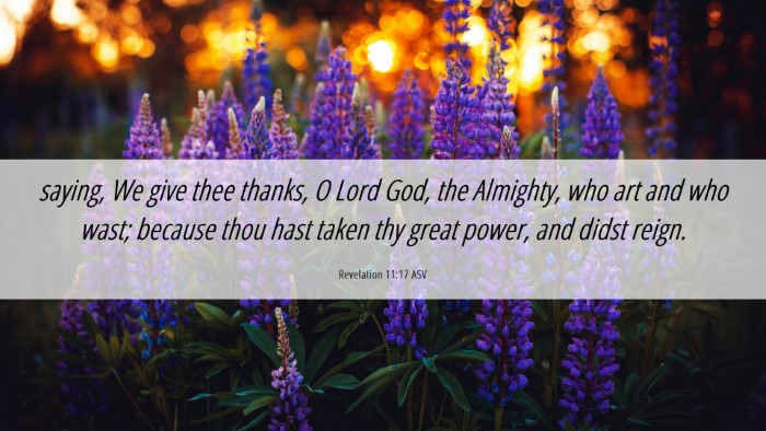 Picture 06 - Revelation 11:17 ASV Desktop Wallpaper - saying, We give thee thanks, O Lord God, the - Desktop Bible Verse Wallpaper