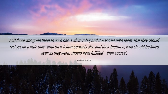 Picture 06 - Revelation 6:11 ASV Desktop Wallpaper - And there was given them to each one a white - Desktop Bible Verse Wallpaper