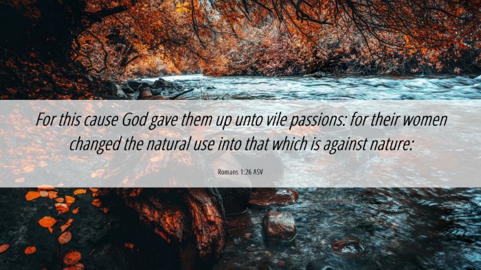 Picture 06 - Romans 1:26 ASV Desktop Wallpaper - For this cause God gave them up unto vile - Desktop Bible Verse Wallpaper