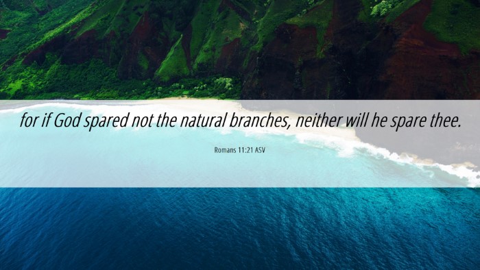 Picture 06 - Romans 11:21 ASV Desktop Wallpaper - for if God spared not the natural branches, - Desktop Bible Verse Wallpaper