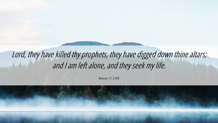Picture 06 - Romans 11:3 ASV Desktop Wallpaper - Lord, they have killed thy prophets, they have - Desktop Bible Verse Wallpaper