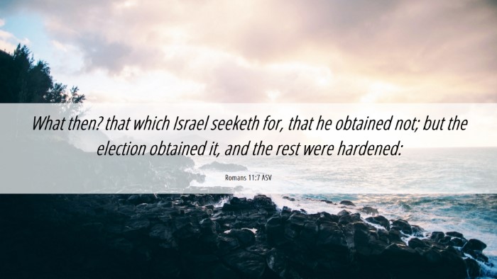 Picture 06 - Romans 11:7 ASV Desktop Wallpaper - What then? that which Israel seeketh for, that he - Desktop Bible Verse Wallpaper