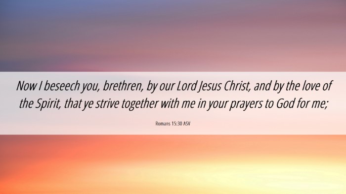 Picture 06 - Romans 15:30 ASV Desktop Wallpaper - Now I beseech you, brethren, by our Lord Jesus - Desktop Bible Verse Wallpaper