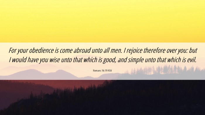 Picture 06 - Romans 16:19 ASV Desktop Wallpaper - For your obedience is come abroad unto all men. I - Desktop Bible Verse Wallpaper