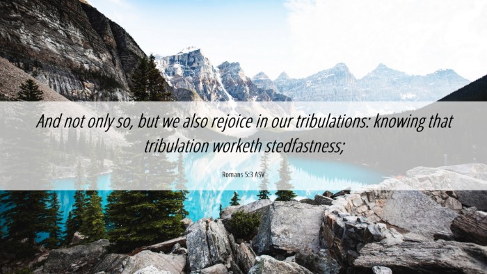 Picture 06 - Romans 5:3 ASV Desktop Wallpaper - And not only so, but we also rejoice in our - Desktop Bible Verse Wallpaper