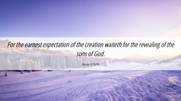 Picture 06 - Romans 8:19 ASV Desktop Wallpaper - For the earnest expectation of the creation - Desktop Bible Verse Wallpaper