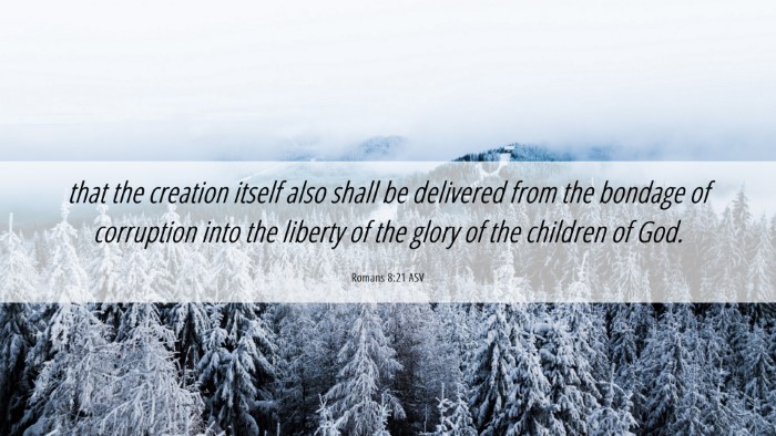 Picture 06 - Romans 8:21 ASV Desktop Wallpaper - that the creation itself also shall be delivered - Desktop Bible Verse Wallpaper