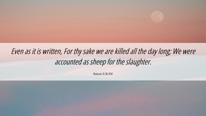 Picture 06 - Romans 8:36 ASV Desktop Wallpaper - Even as it is written, For thy sake we are killed - Desktop Bible Verse Wallpaper