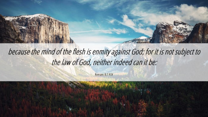 Picture 06 - Romans 8:7 ASV Desktop Wallpaper - because the mind of the flesh is enmity against - Desktop Bible Verse Wallpaper