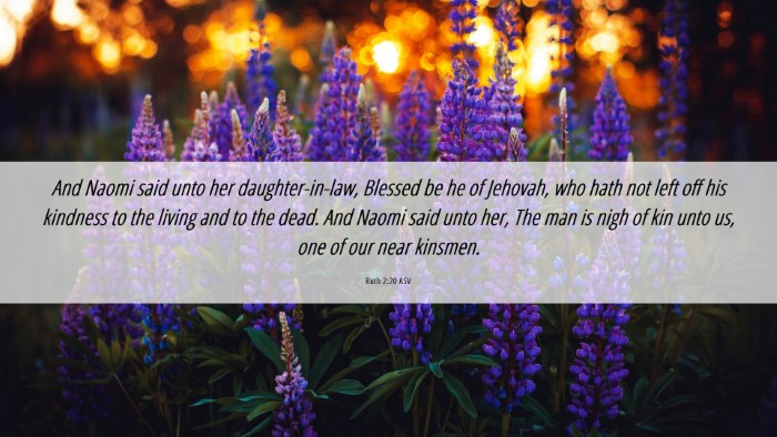 Picture 06 - Ruth 2:20 ASV Desktop Wallpaper - And Naomi said unto her daughter-in-law, Blessed - Desktop Bible Verse Wallpaper