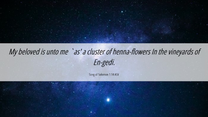 Picture 06 - Song of Solomon 1:14 ASV Desktop Wallpaper - My beloved is unto me `as' a cluster of - Desktop Bible Verse Wallpaper