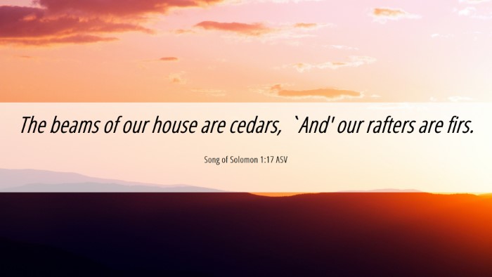 Picture 06 - Song of Solomon 1:17 ASV Desktop Wallpaper - The beams of our house are cedars, `And' our - Desktop Bible Verse Wallpaper