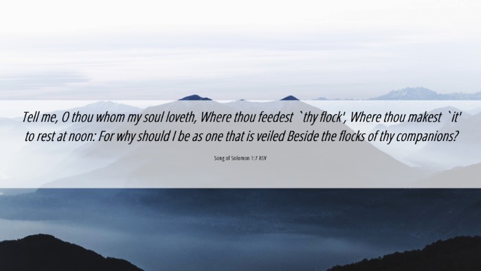 Picture 06 - Song of Solomon 1:7 ASV Desktop Wallpaper - Tell me, O thou whom my soul loveth, Where thou - Desktop Bible Verse Wallpaper