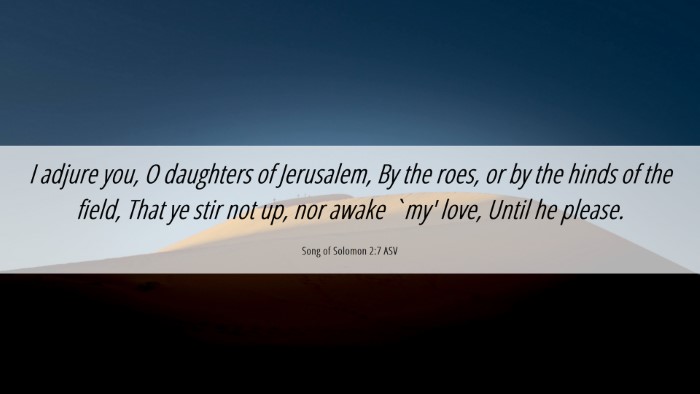 Picture 06 - Song of Solomon 2:7 ASV Desktop Wallpaper - I adjure you, O daughters of Jerusalem, By the - Desktop Bible Verse Wallpaper