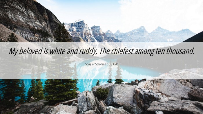 Picture 06 - Song of Solomon 5:10 ASV Desktop Wallpaper - My beloved is white and ruddy, The chiefest among - Desktop Bible Verse Wallpaper