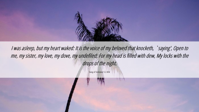 Picture 06 - Song of Solomon 5:2 ASV Desktop Wallpaper - I was asleep, but my heart waked: It is the voice - Desktop Bible Verse Wallpaper
