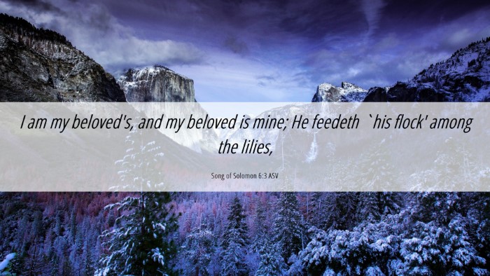 Picture 06 - Song of Solomon 6:3 ASV Desktop Wallpaper - I am my beloved's, and my beloved is mine; He - Desktop Bible Verse Wallpaper