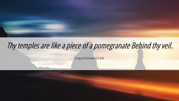 Picture 06 - Song of Solomon 6:7 ASV Desktop Wallpaper - Thy temples are like a piece of a pomegranate - Desktop Bible Verse Wallpaper