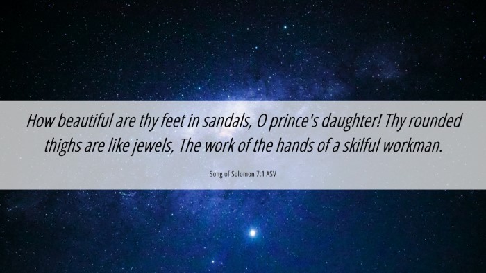 Picture 06 - Song of Solomon 7:1 ASV Desktop Wallpaper - How beautiful are thy feet in sandals, O prince's - Desktop Bible Verse Wallpaper