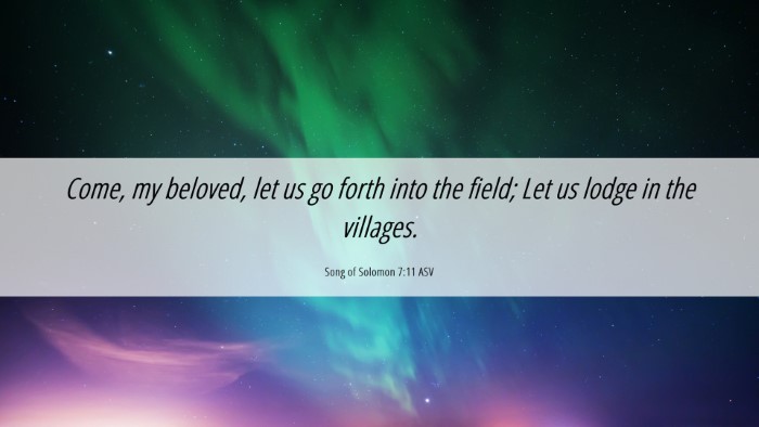 Picture 06 - Song of Solomon 7:11 ASV Desktop Wallpaper - Come, my beloved, let us go forth into the field; - Desktop Bible Verse Wallpaper