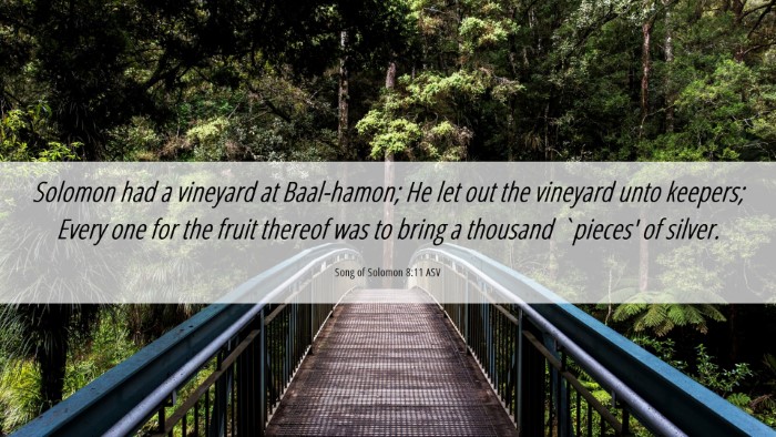 Picture 06 - Song of Solomon 8:11 ASV Desktop Wallpaper - Solomon had a vineyard at Baal-hamon; He let out - Desktop Bible Verse Wallpaper