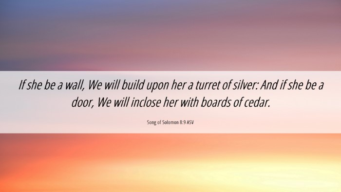 Picture 06 - Song of Solomon 8:9 ASV Desktop Wallpaper - If she be a wall, We will build upon her a turret - Desktop Bible Verse Wallpaper