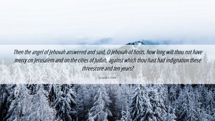 Picture 06 - Zechariah 1:12 ASV Desktop Wallpaper - Then the angel of Jehovah answered and said, O - Desktop Bible Verse Wallpaper