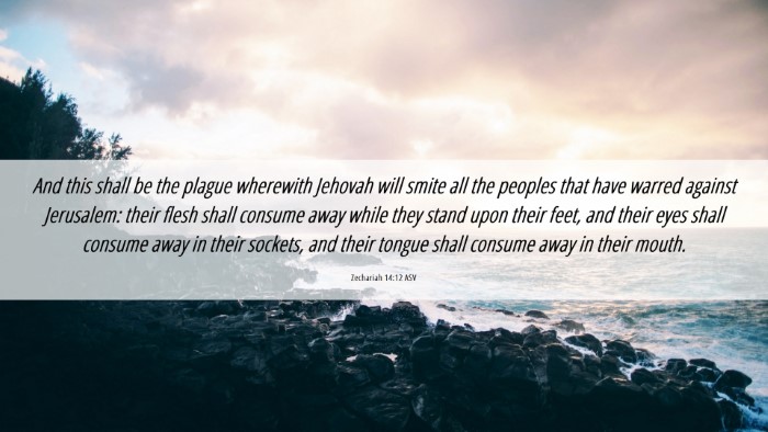 Picture 06 - Zechariah 14:12 ASV Desktop Wallpaper - And this shall be the plague wherewith Jehovah - Desktop Bible Verse Wallpaper