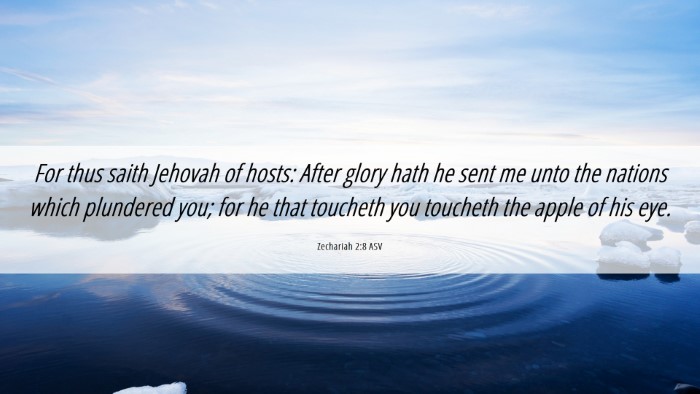 Picture 06 - Zechariah 2:8 ASV Desktop Wallpaper - For thus saith Jehovah of hosts: After glory hath - Desktop Bible Verse Wallpaper