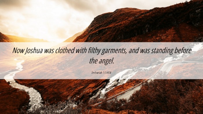 Picture 06 - Zechariah 3:3 ASV Desktop Wallpaper - Now Joshua was clothed with filthy garments, and - Desktop Bible Verse Wallpaper