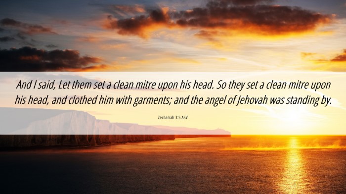 Picture 06 - Zechariah 3:5 ASV Desktop Wallpaper - And I said, Let them set a clean mitre upon his - Desktop Bible Verse Wallpaper