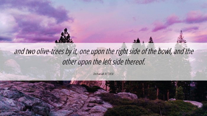 Picture 06 - Zechariah 4:3 ASV Desktop Wallpaper - and two olive-trees by it, one upon the right - Desktop Bible Verse Wallpaper