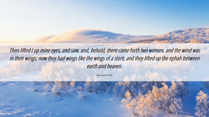 Picture 06 - Zechariah 5:9 ASV Desktop Wallpaper - Then lifted I up mine eyes, and saw, and, behold, - Desktop Bible Verse Wallpaper