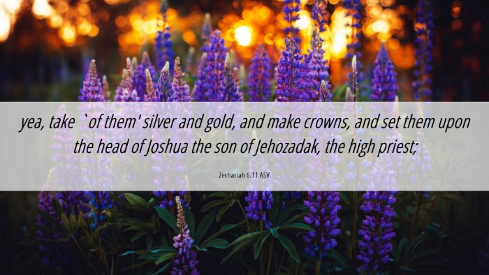 Picture 06 - Zechariah 6:11 ASV Desktop Wallpaper - yea, take `of them' silver and gold, and make - Desktop Bible Verse Wallpaper
