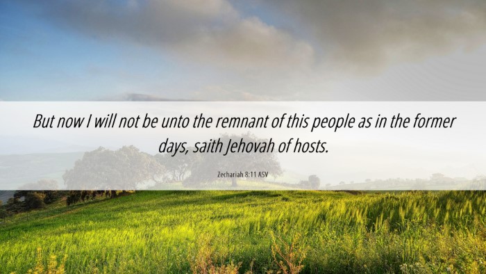 Picture 06 - Zechariah 8:11 ASV Desktop Wallpaper - But now I will not be unto the remnant of this - Desktop Bible Verse Wallpaper
