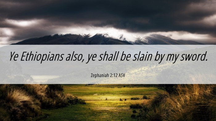 Picture 06 - Zephaniah 2:12 ASV Desktop Wallpaper - Ye Ethiopians also, ye shall be slain by my - Desktop Bible Verse Wallpaper