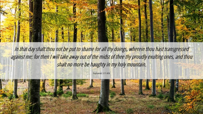 Picture 06 - Zephaniah 3:11 ASV Desktop Wallpaper - In that day shalt thou not be put to shame for - Desktop Bible Verse Wallpaper
