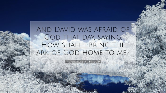 Picture 07 - 1 Chronicles 13:12 ASV Desktop Wallpaper - And David was afraid of God that day, saying, How - Desktop Bible Verse Wallpaper