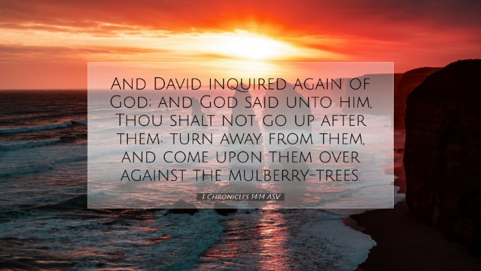 Picture 07 - 1 Chronicles 14:14 ASV Desktop Wallpaper - And David inquired again of God; and God said - Desktop Bible Verse Wallpaper