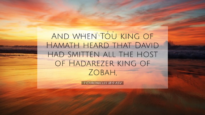 Picture 07 - 1 Chronicles 18:9 ASV Desktop Wallpaper - And when Tou king of Hamath heard that David had - Desktop Bible Verse Wallpaper
