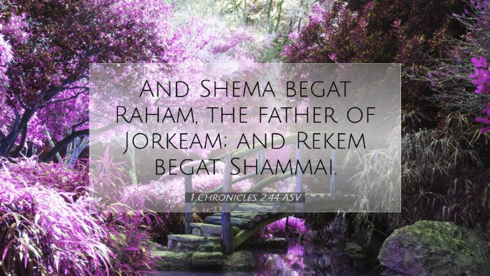Picture 07 - 1 Chronicles 2:44 ASV Desktop Wallpaper - And Shema begat Raham, the father of Jorkeam; and - Desktop Bible Verse Wallpaper