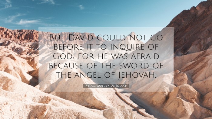 Picture 07 - 1 Chronicles 21:30 ASV Desktop Wallpaper - But David could not go before it to inquire of - Desktop Bible Verse Wallpaper