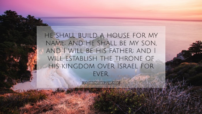 Picture 07 - 1 Chronicles 22:10 ASV Desktop Wallpaper - he shall build a house for my name; and he shall - Desktop Bible Verse Wallpaper