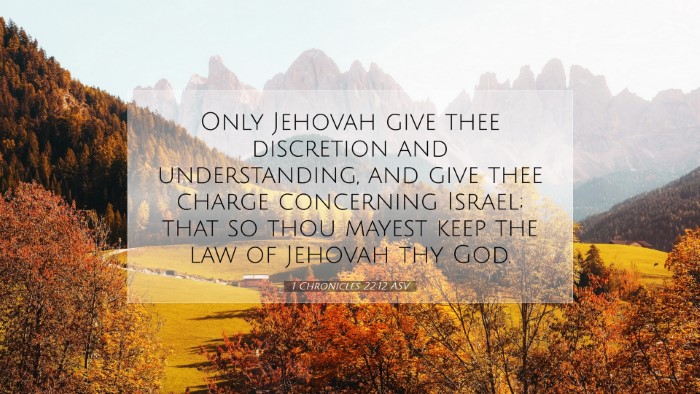 Picture 07 - 1 Chronicles 22:12 ASV Desktop Wallpaper - Only Jehovah give thee discretion and - Desktop Bible Verse Wallpaper